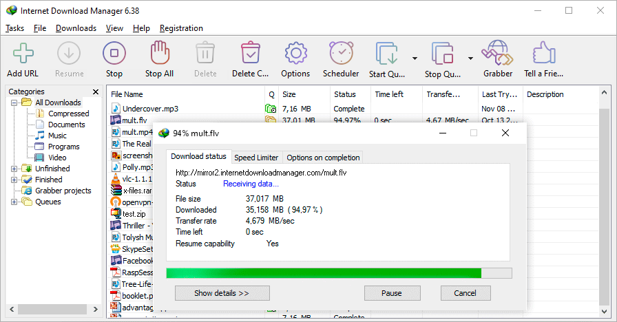 internet download manager reviews