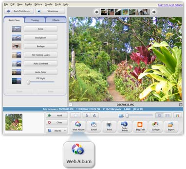 create picasa online