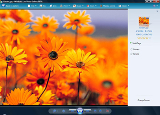 Microsoft Windows Live Photo Gallery Free Download and Reviews - Fileforum