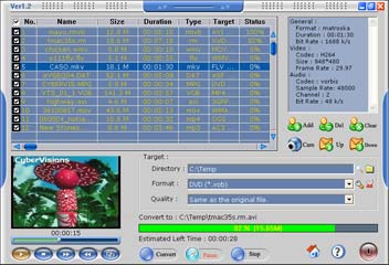 apt video converter