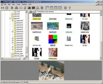 Xnview for windows